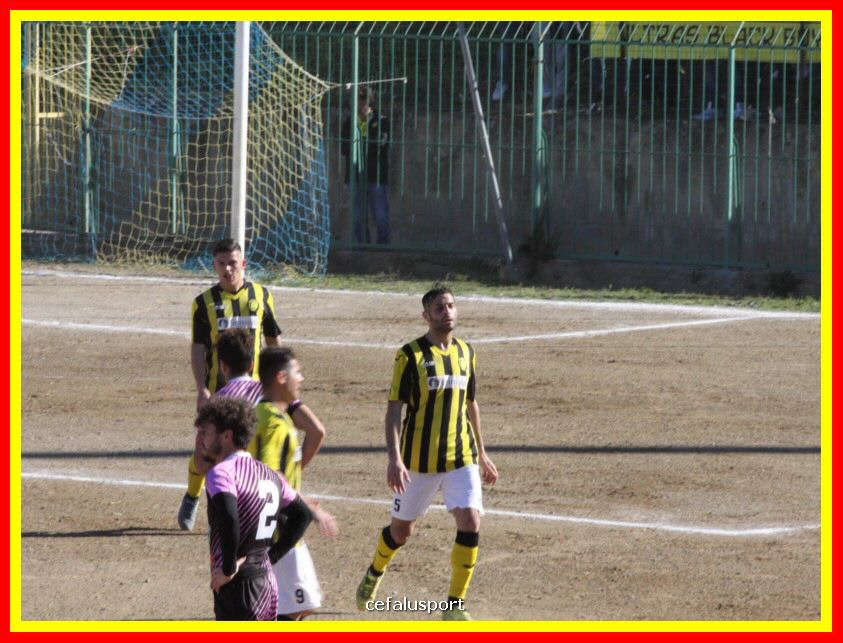 190310 Cephal_Torrenov 085_tn.jpg